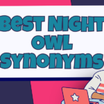 Night Owl Synonyms